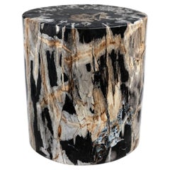 Natural Petrified Wood End Table Polished