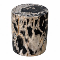 Natural Petrified Wood End Table Polished