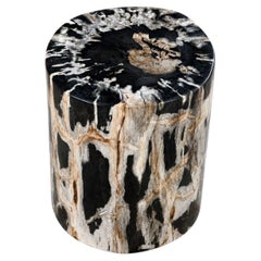 Natural Petrified Wood End Table Polished