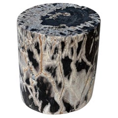 Natural Petrified Wood End Table Polished