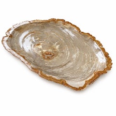 Natural Petrified Wood Platter Centerpiece 20"