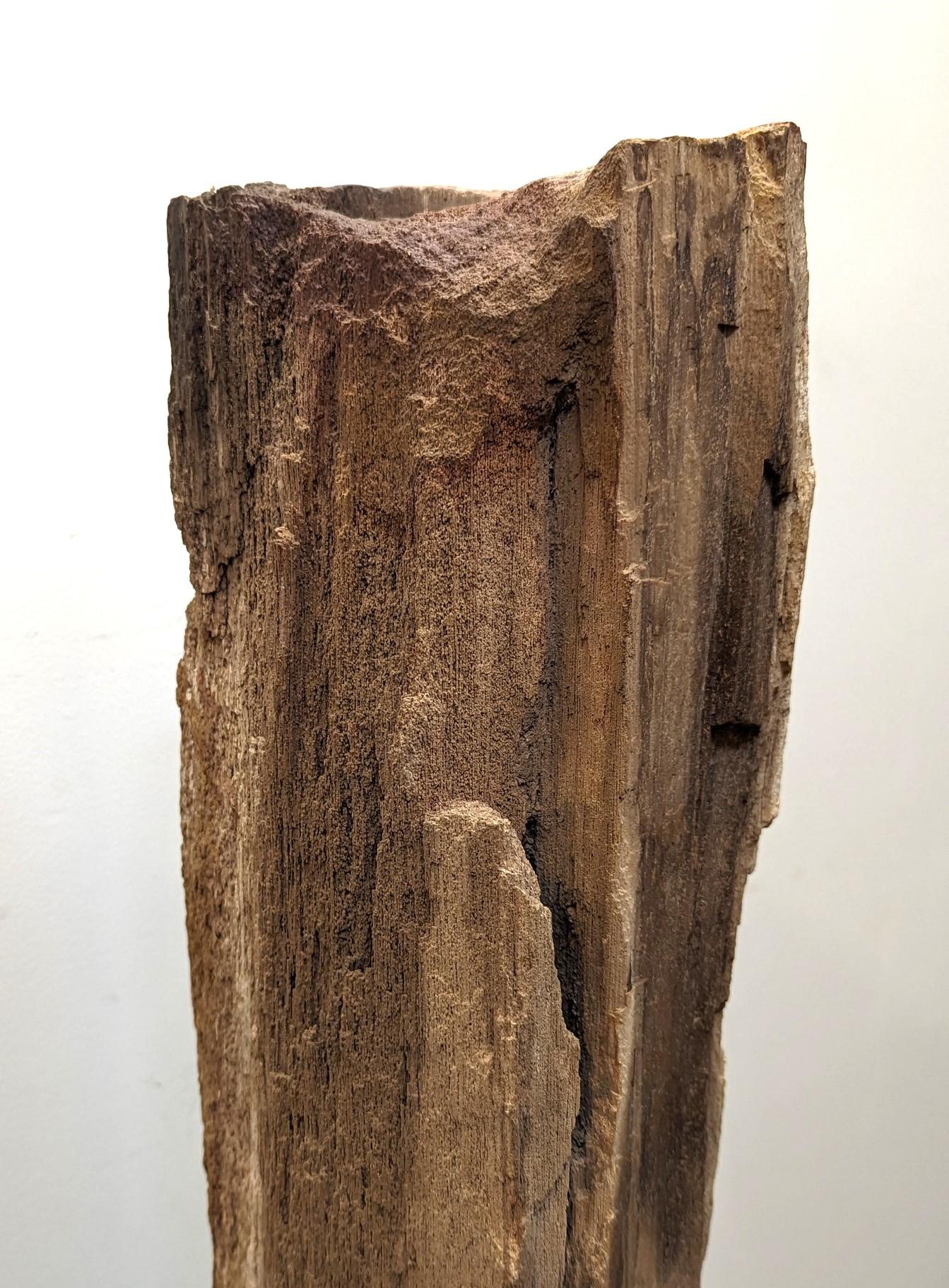 Sculpture en bois pétrifié naturel  en vente 3