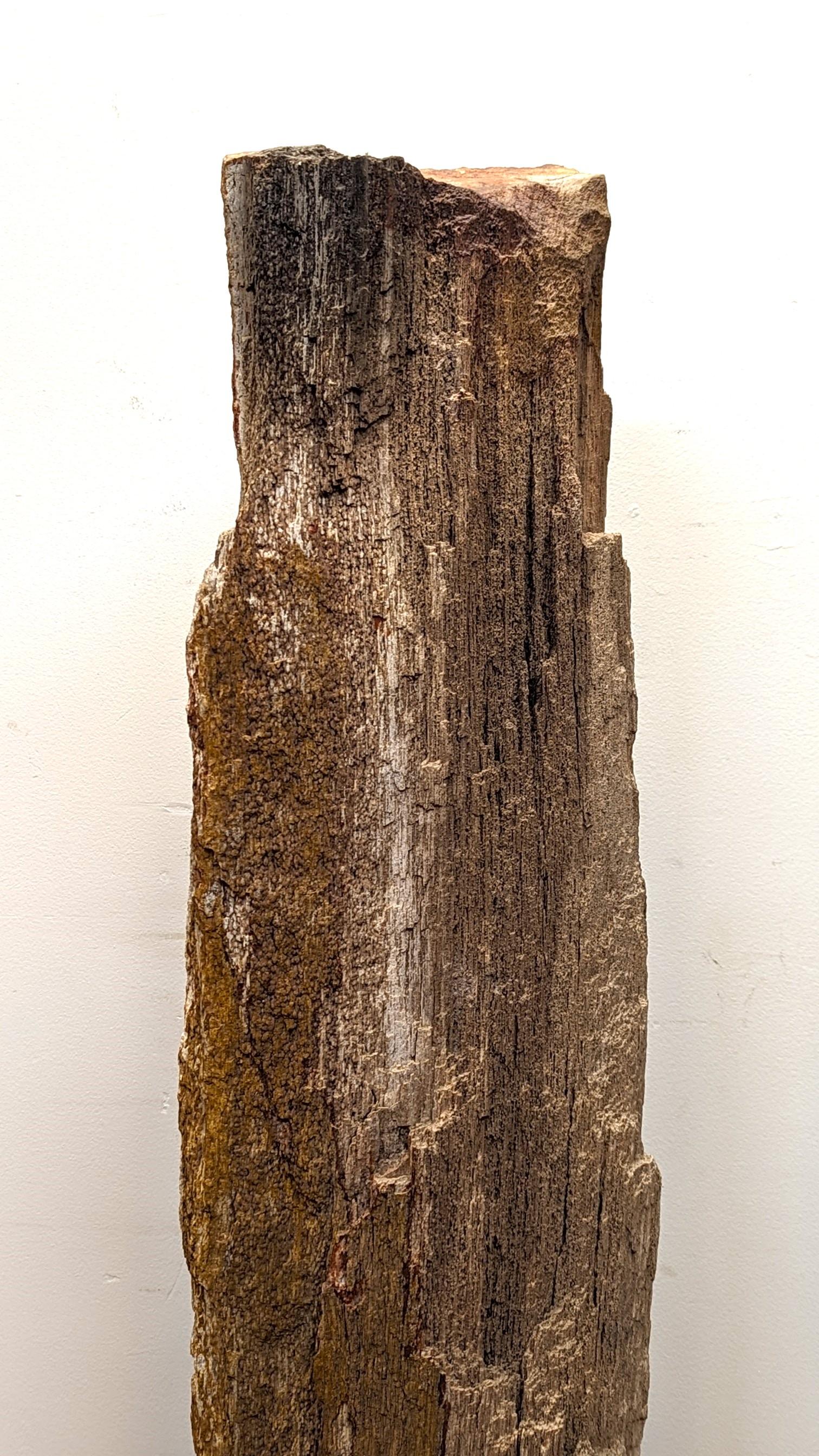 Natural Petrified Wood Sculpture  For Sale 3