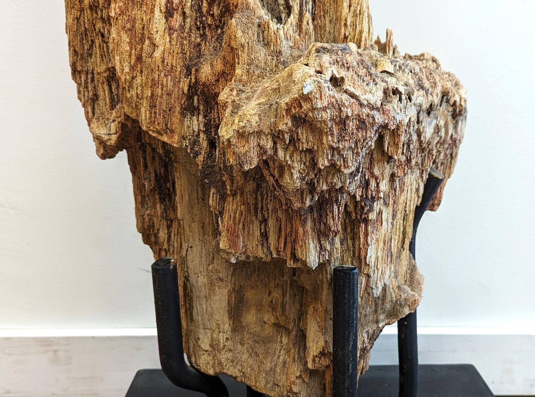 Natural Petrified Wood Sculpture  For Sale 3