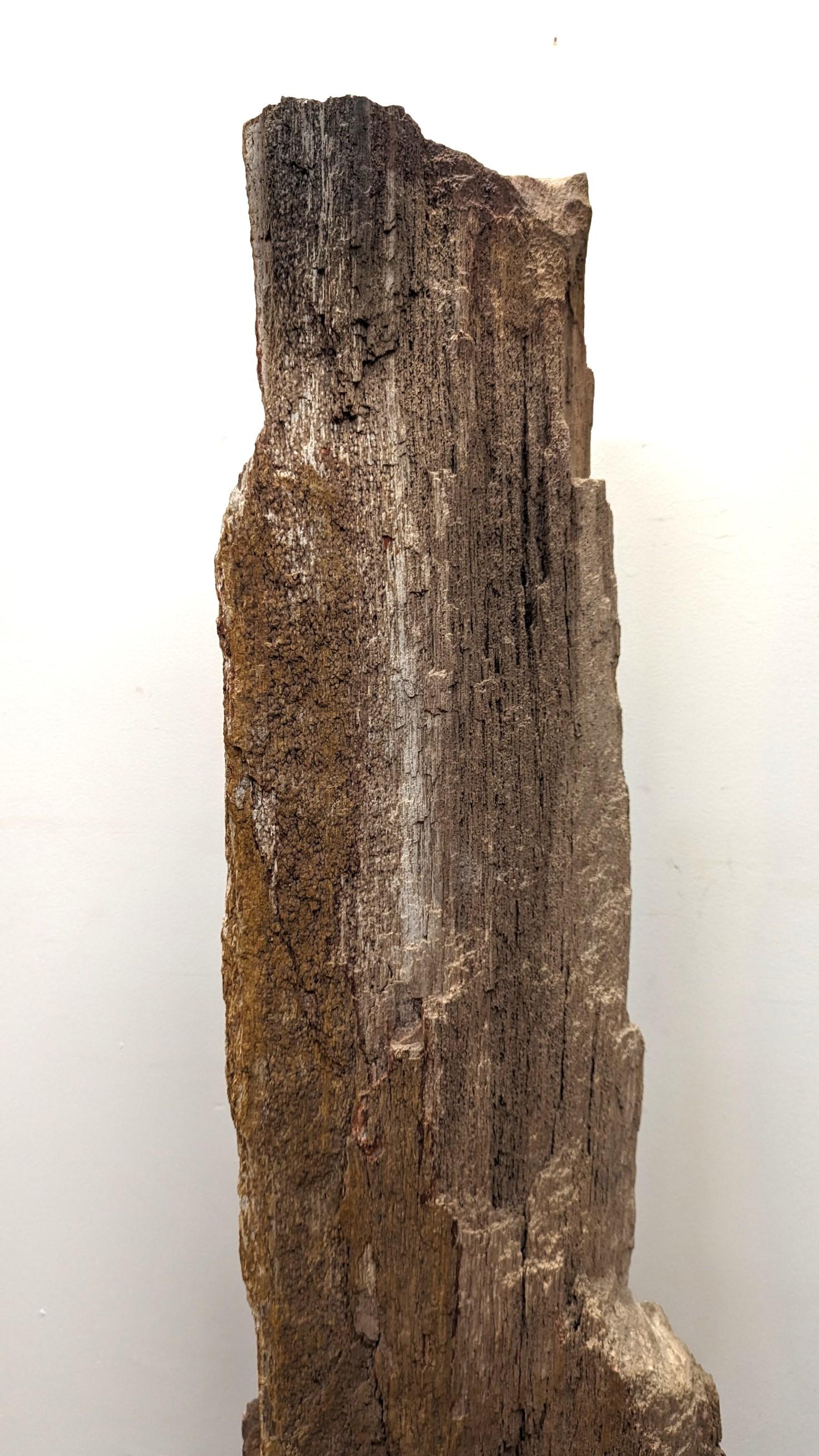 Natural Petrified Wood Sculpture  For Sale 4