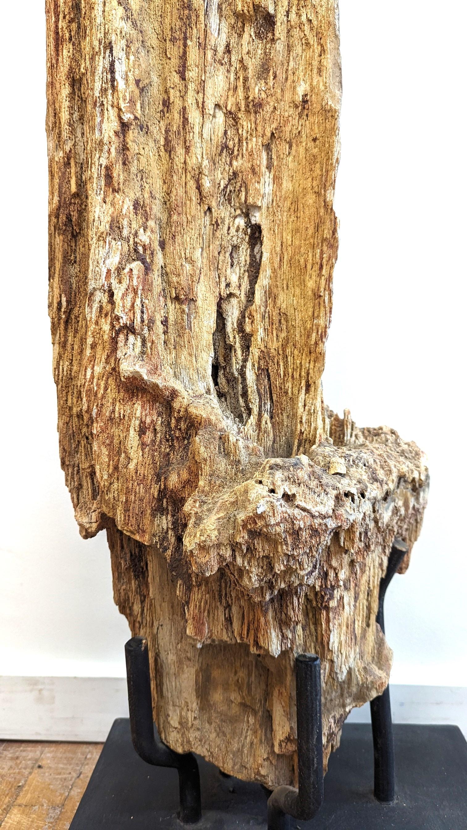 Natural Petrified Wood Sculpture  For Sale 4