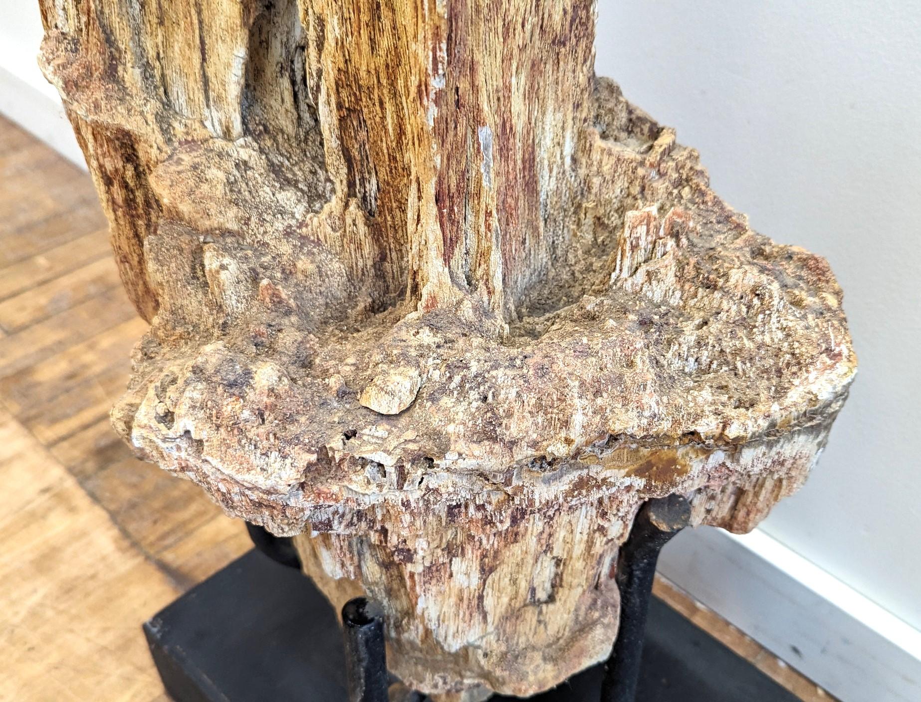 Natural Petrified Wood Sculpture  For Sale 5