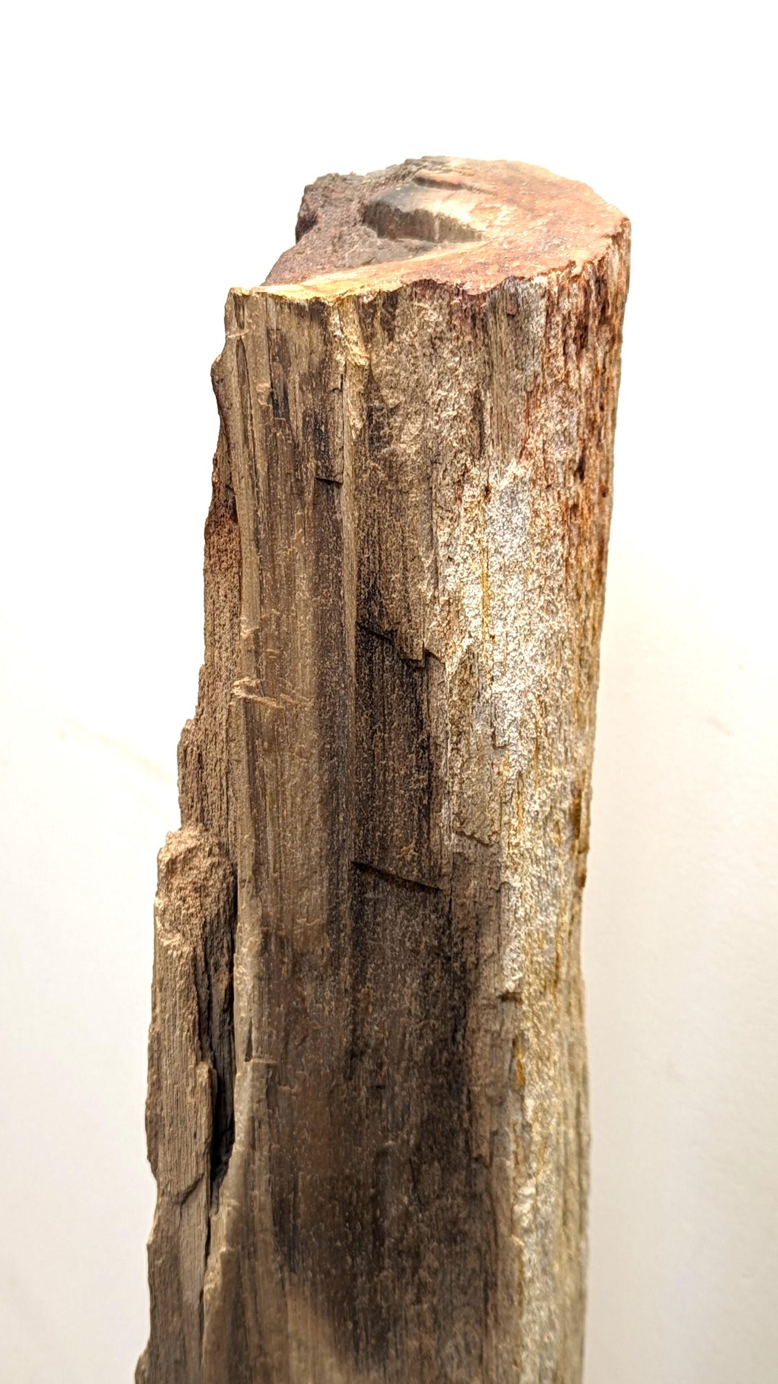 Sculpture en bois pétrifié naturel  en vente 7