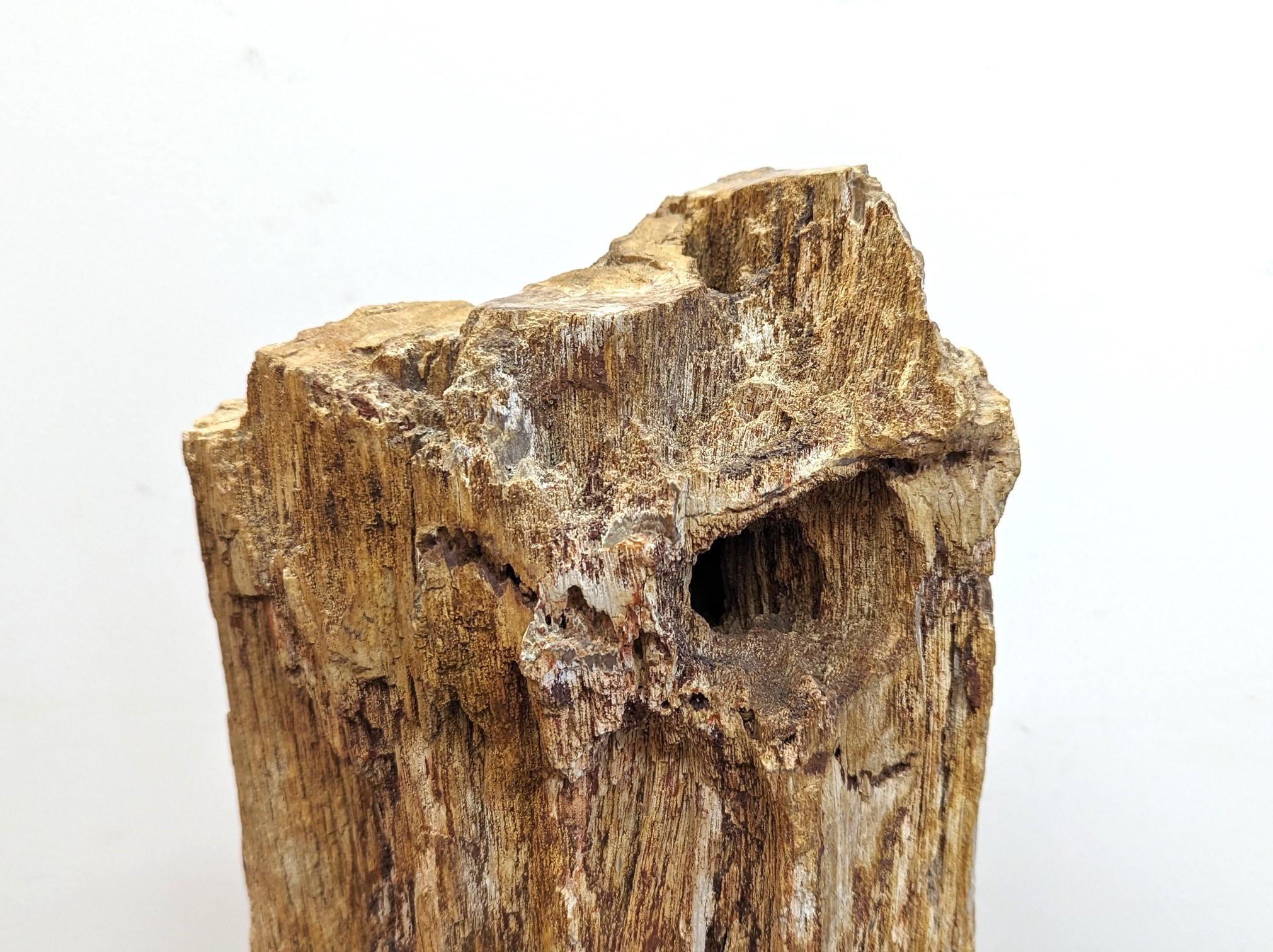 Natural Petrified Wood Sculpture  For Sale 6