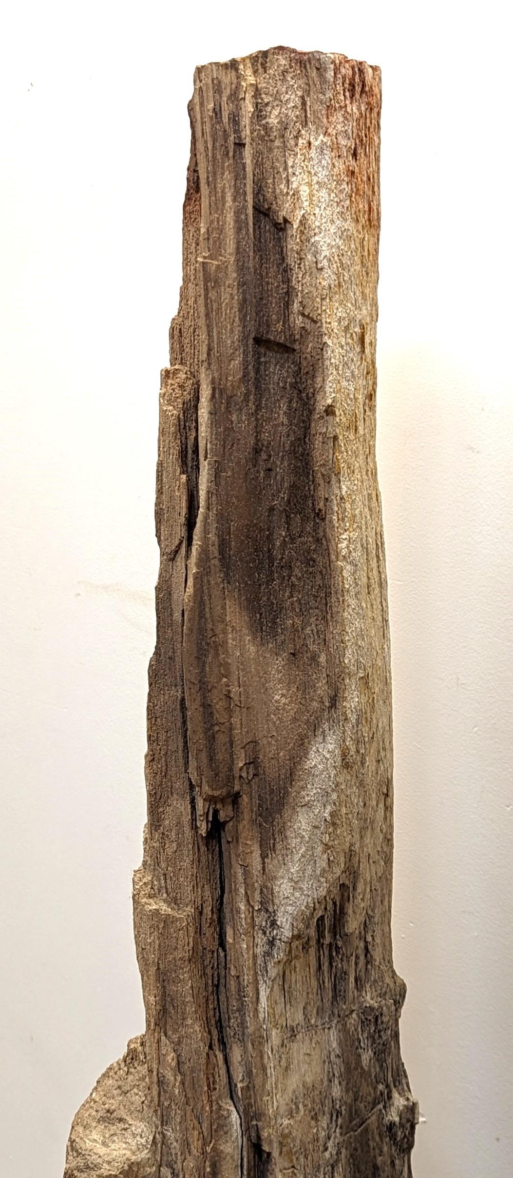 Sculpture en bois pétrifié naturel  en vente 8