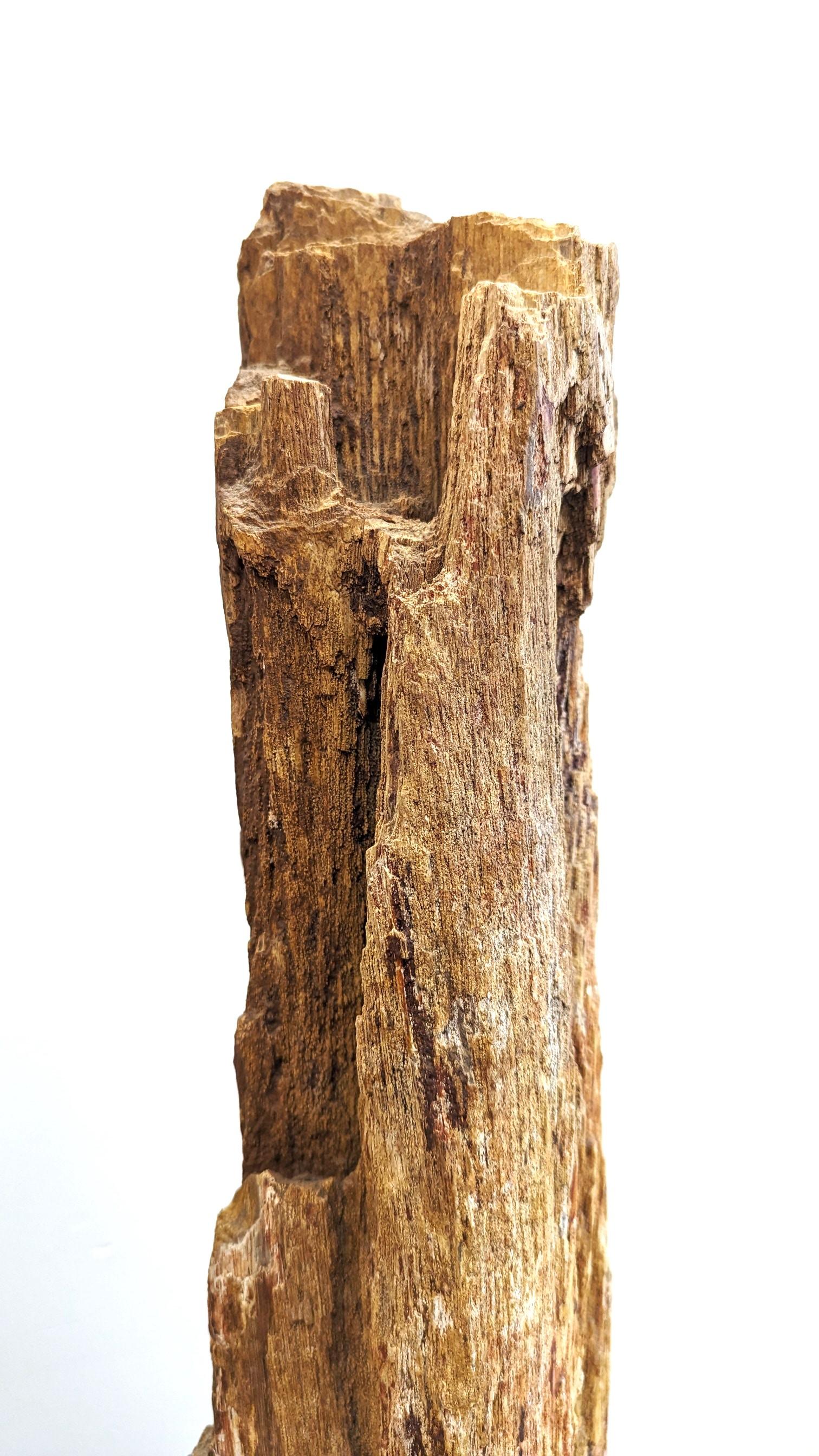 Natural Petrified Wood Sculpture  For Sale 8