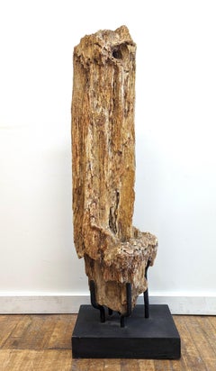 Natural Petrified Wood Sculpture