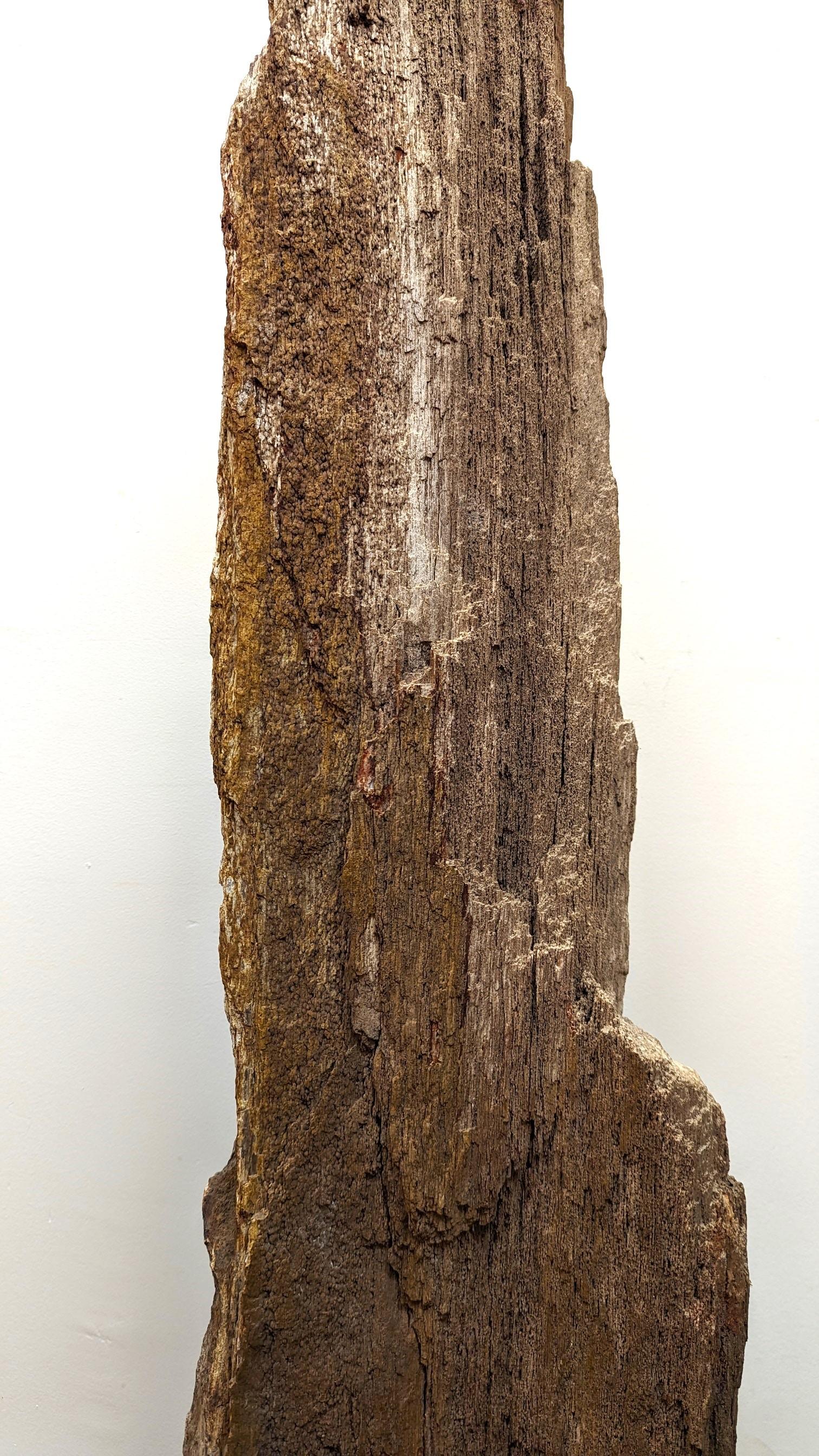 Un morceau naturel de bois pétrifié monté sur un socle.  Fossile brut naturel entièrement biologique, nettoyé pour l'exposition.  Apparaissant comme une montagne imposante  avec des pics en saillie.  À l'arrière, on peut voir des restes de l'écorce