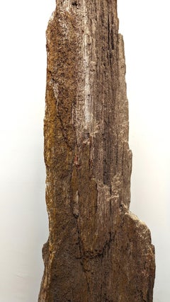 Natural Petrified Wood Sculpture