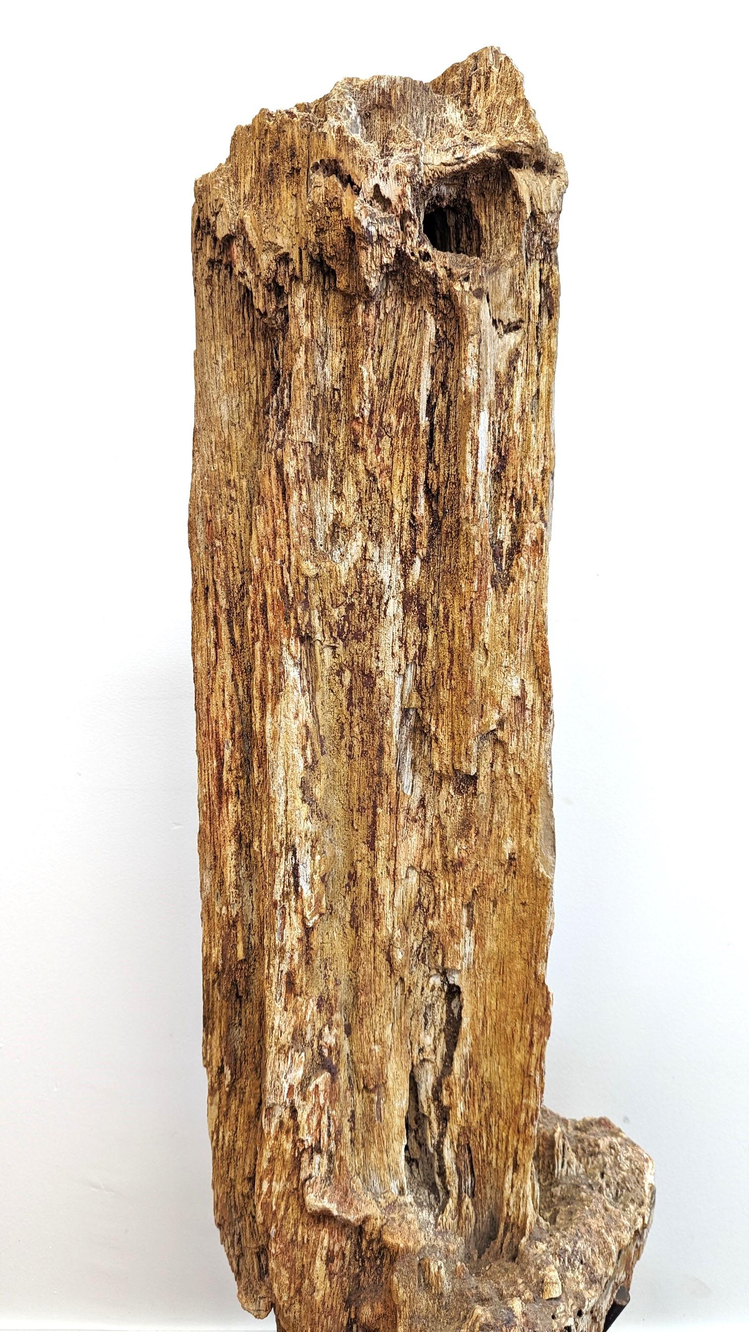 Organique Sculpture en bois pétrifié naturel  en vente