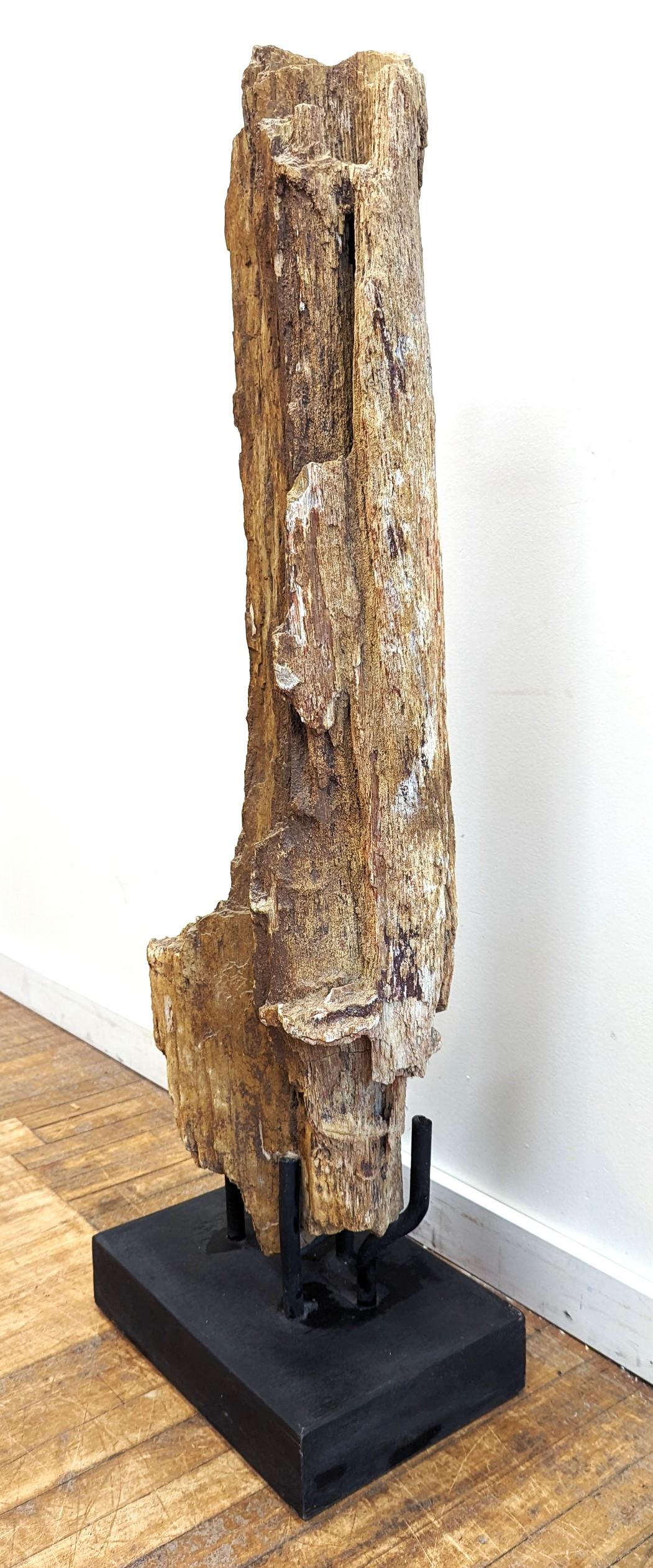 Organic Modern Natural Petrified Wood Sculpture  For Sale
