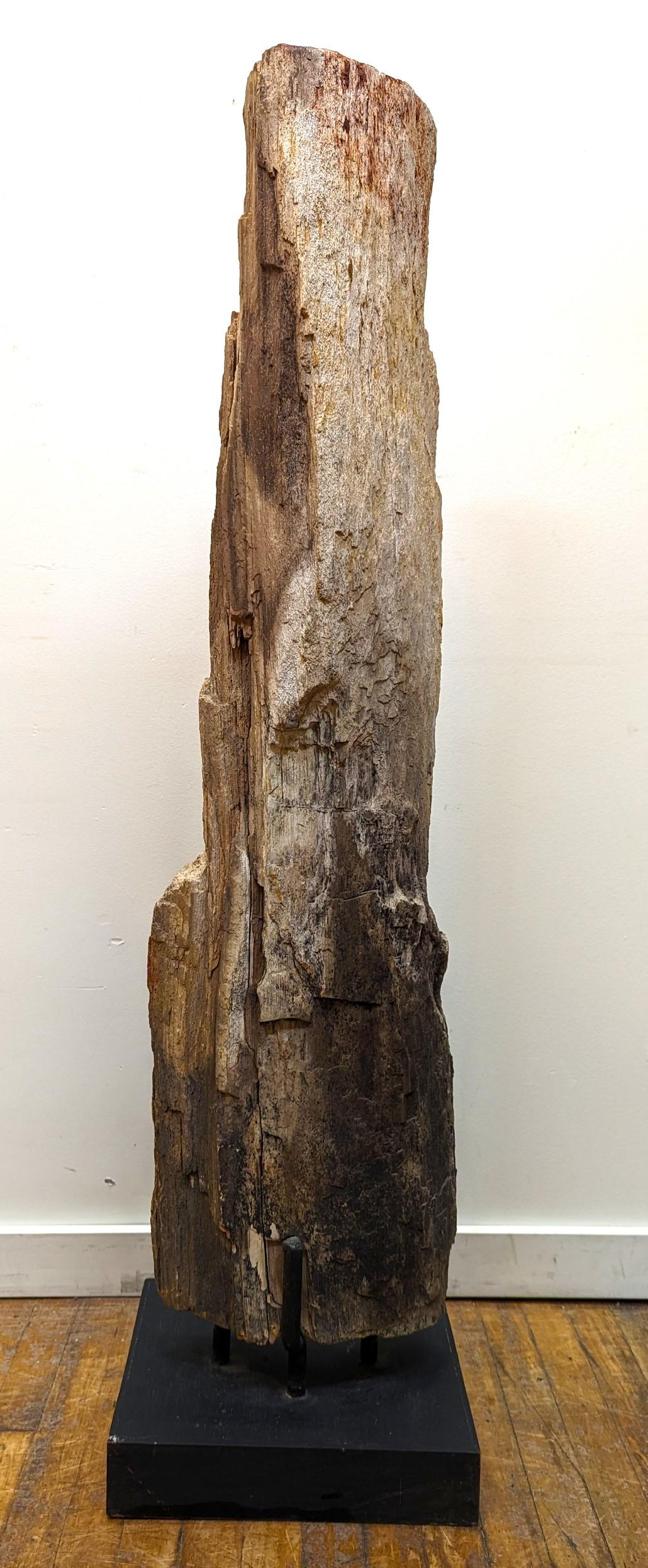 Thai Natural Petrified Wood Sculpture  For Sale