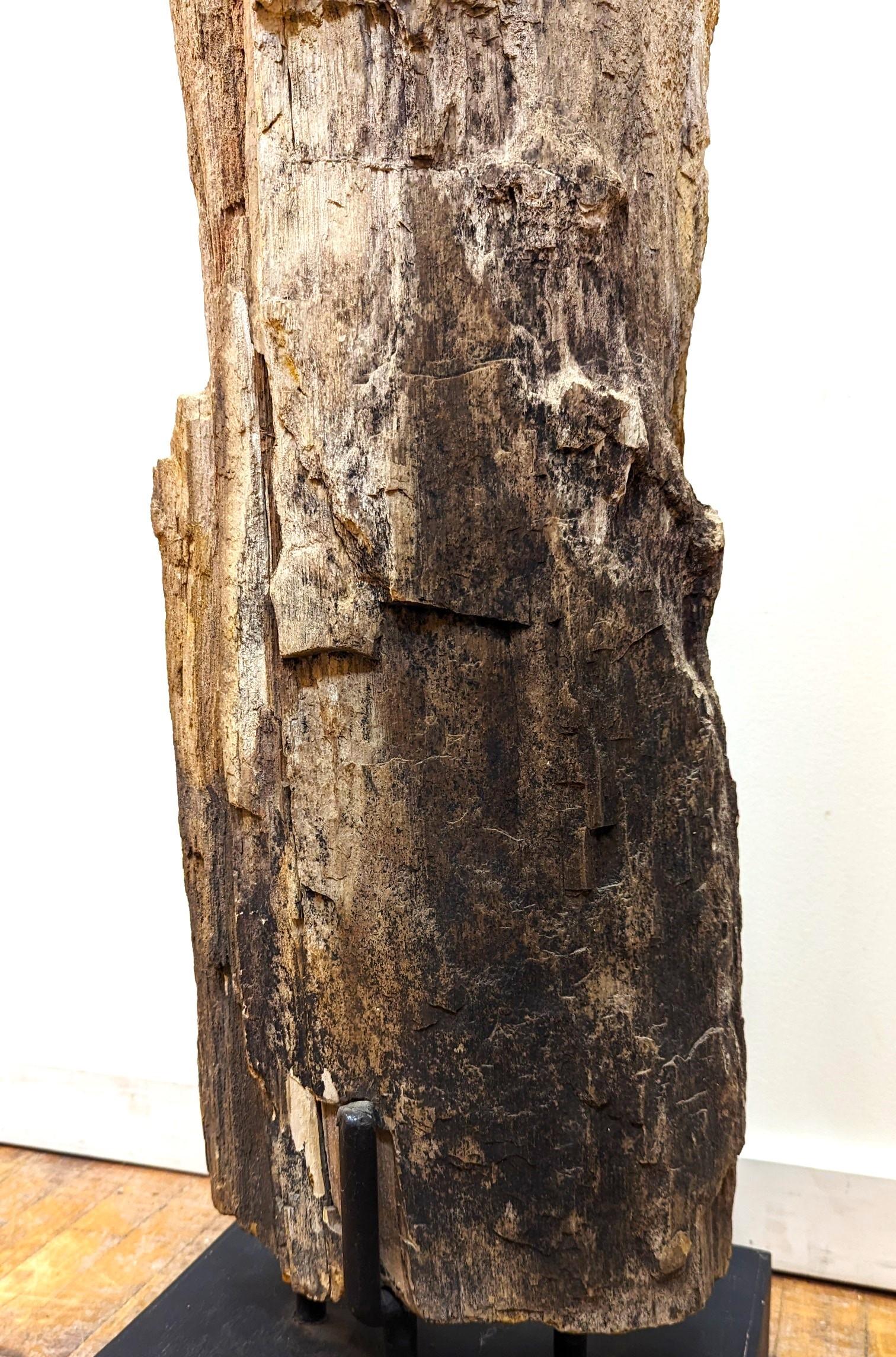 Natural Petrified Wood Sculpture  In Good Condition For Sale In New York, NY