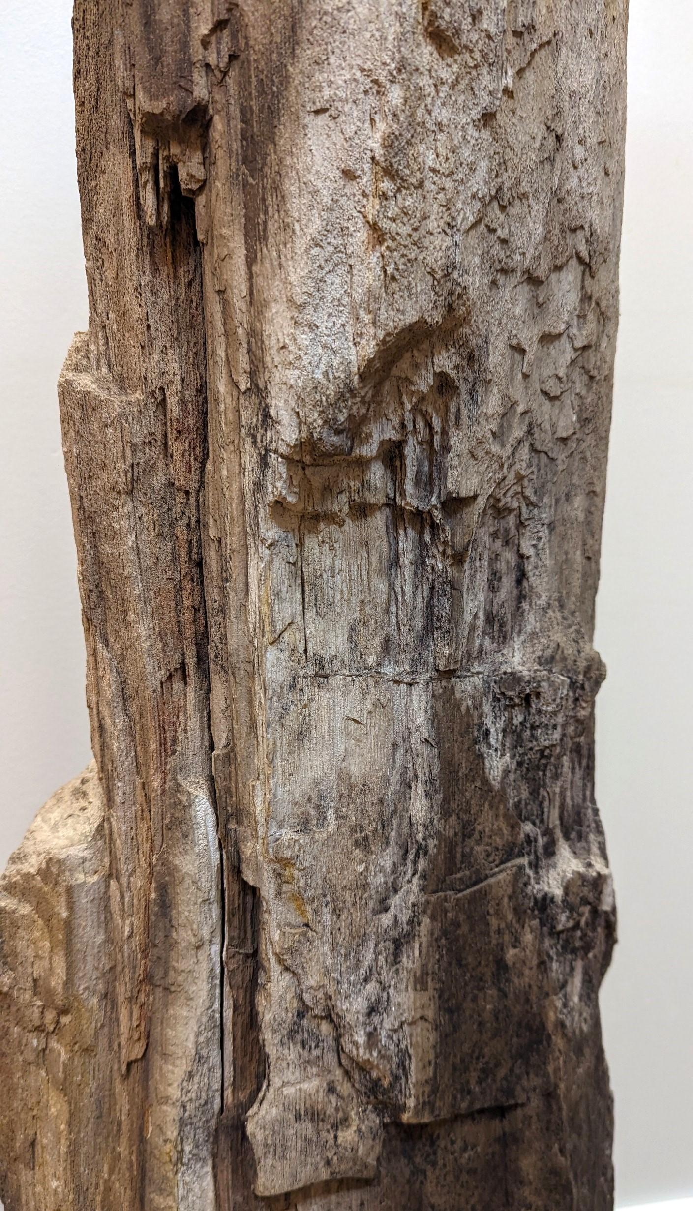 Fino al XVIII secolo Scultura in Wood pietrificato Nature in vendita