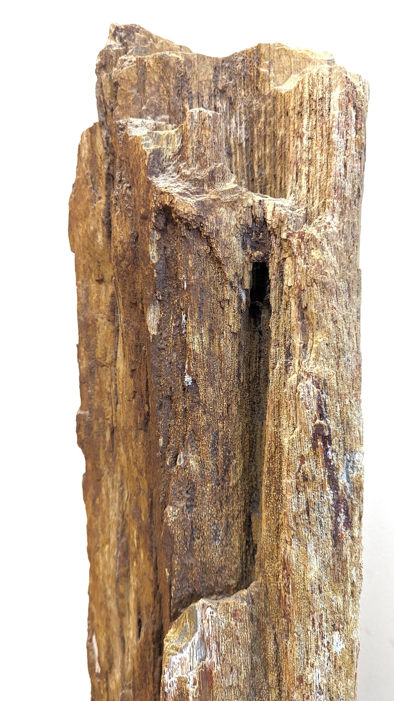 18th Century and Earlier Natural Petrified Wood Sculpture  For Sale