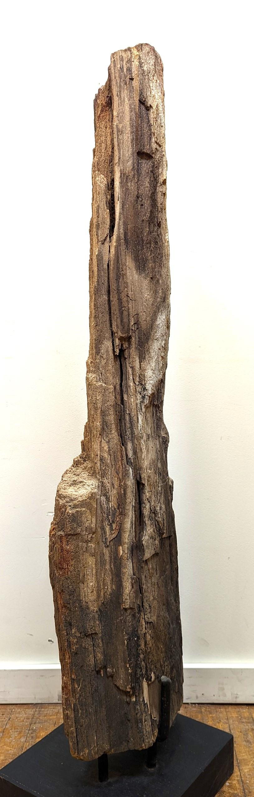 Stone Natural Petrified Wood Sculpture  For Sale