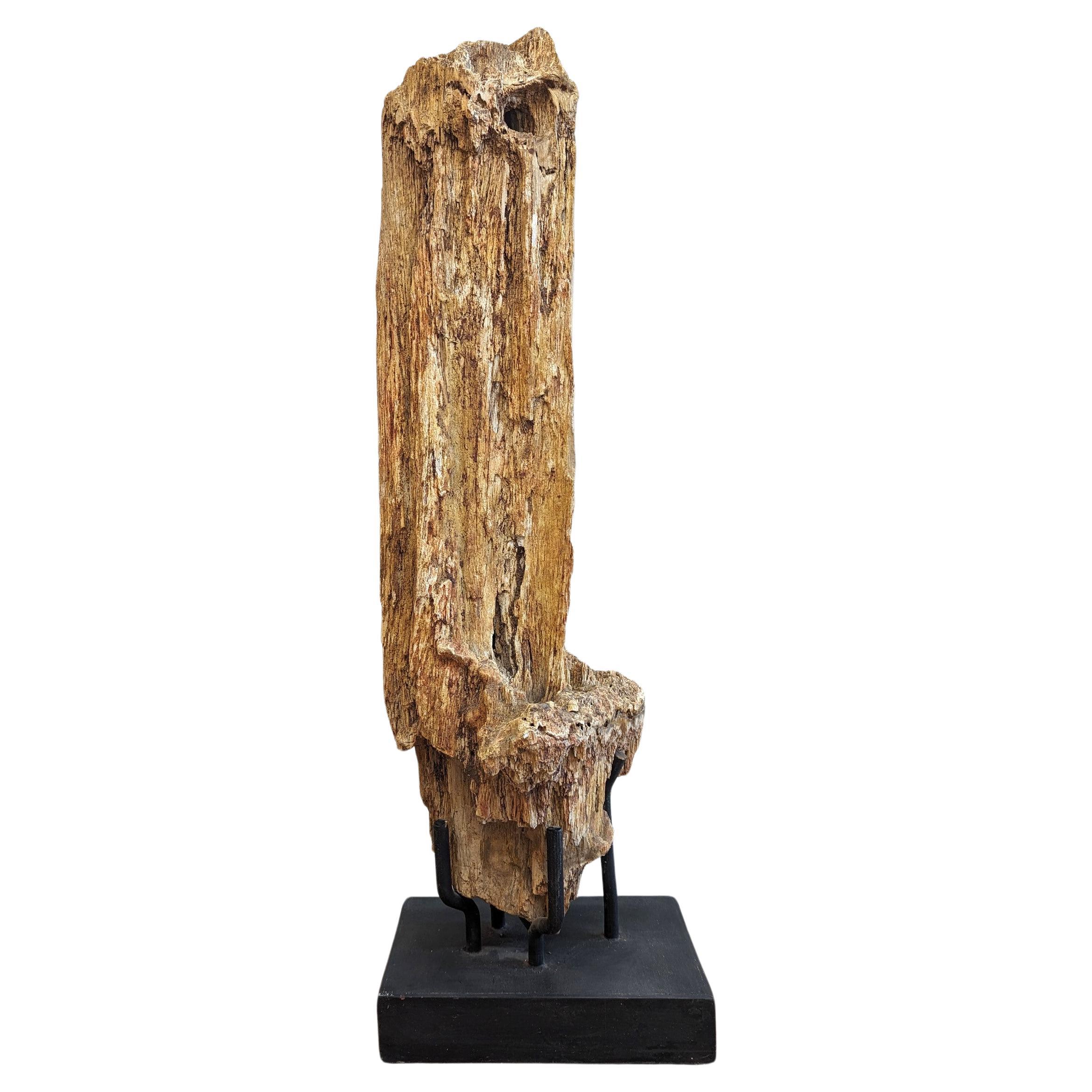 Natural Petrified Wood Sculpture  For Sale