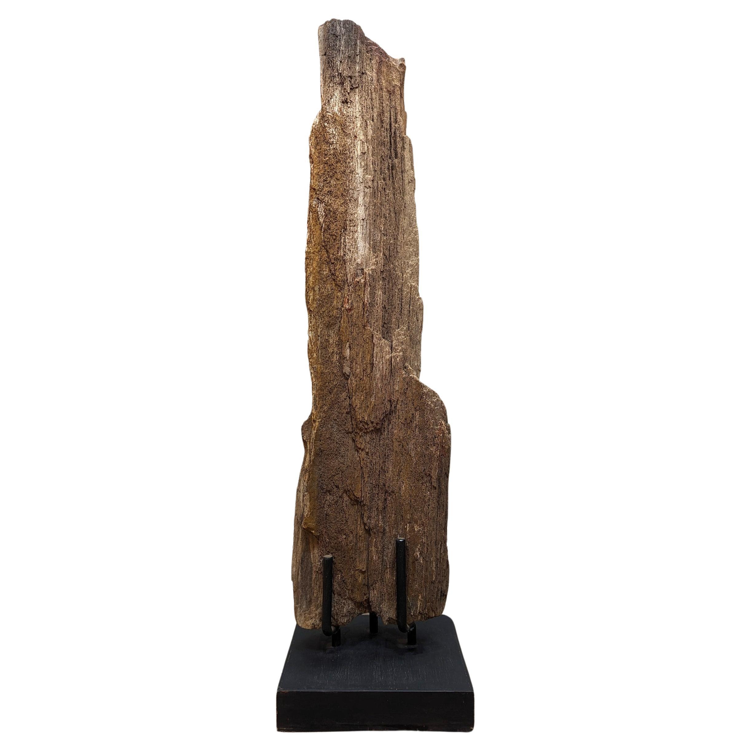 Natural Petrified Wood Sculpture  For Sale