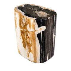 Natural Petrified Wood Side Table Stump 18"