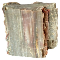 Natural Petrified Wood Specimen. #1