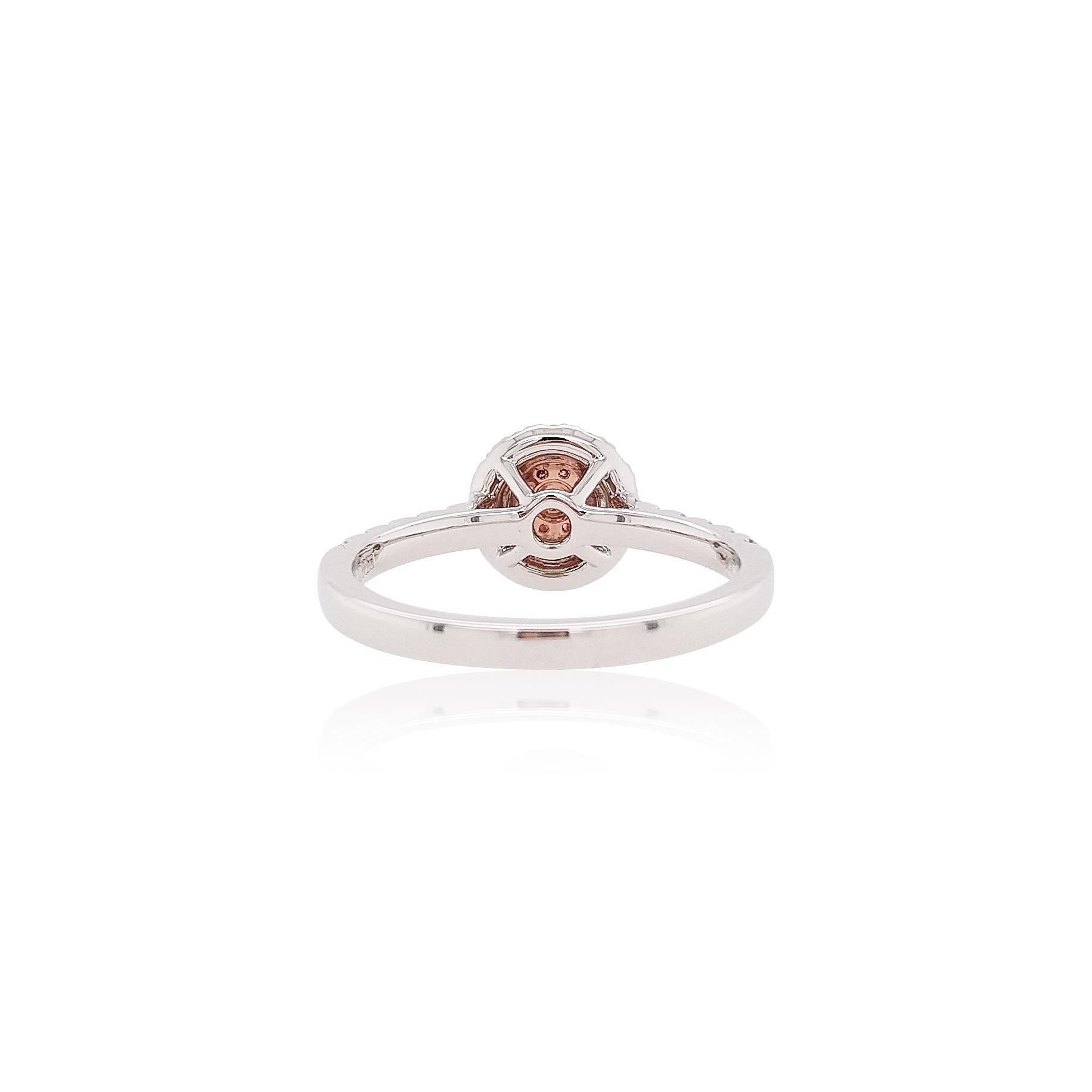 This beautiful ring is featured by Argyle Pink Diamonds and White Diamonds set in PT900 platinum and 18 Karat pink gold. It holds connotations of romance and would be a spectacular gift that can be worn with both daytime and evening looks.
-	Round