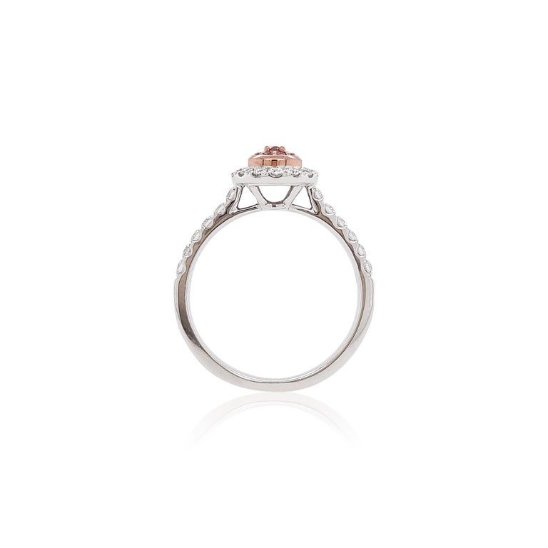 Natural Argyle Pink Diamond Platinum 18K Pink Gold Engagement Ring For Sale at 1stDibs argyle