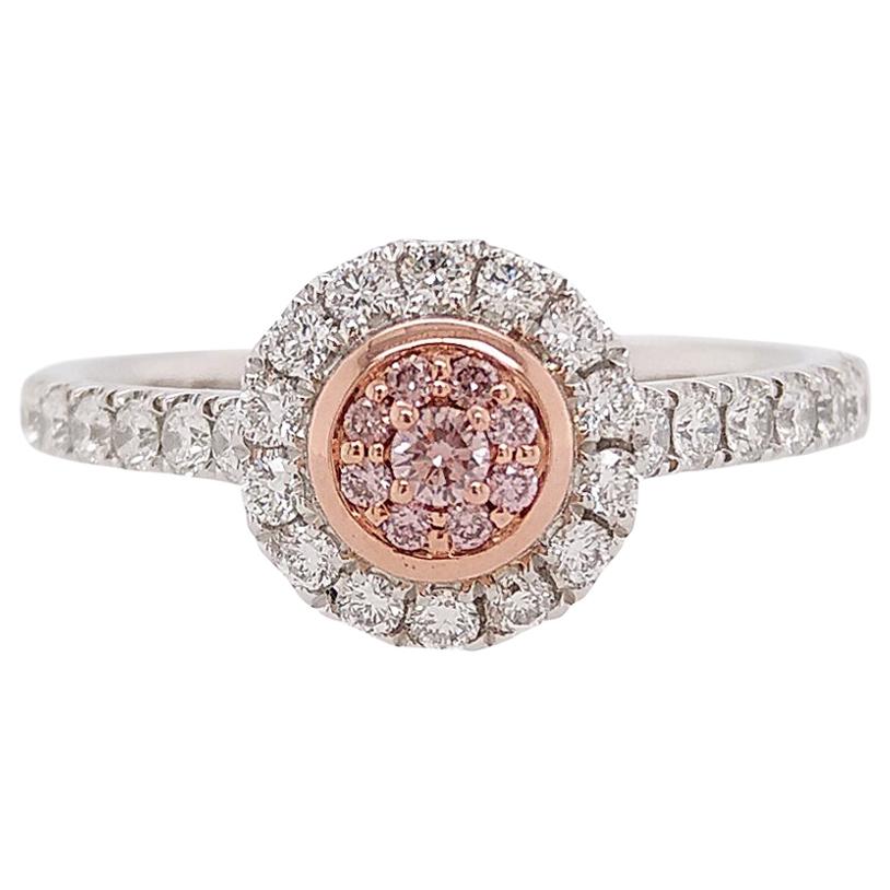 Natural Argyle Pink Diamond Platinum 18K Pink Gold Engagement Ring For Sale