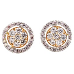Stud Earrings