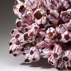 Natural Purple Acorn Barnacle Cluster (3.5 lbs)
