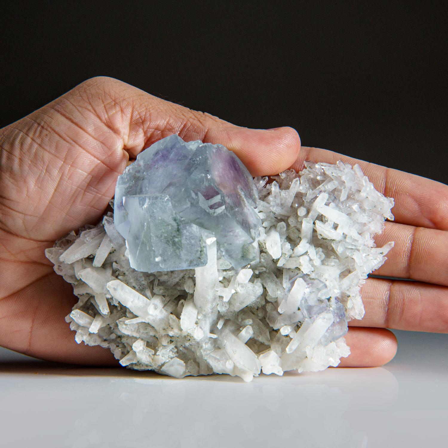 Purple and Blue Fluorite on Quartz from De'an Mine, Wushan, Jiangxi Province, China

Lustrous blue green transparent fluorite crystal with a few pale-purple transparent purple fluorite crystals on white quartz point crystals. The quartz crystals