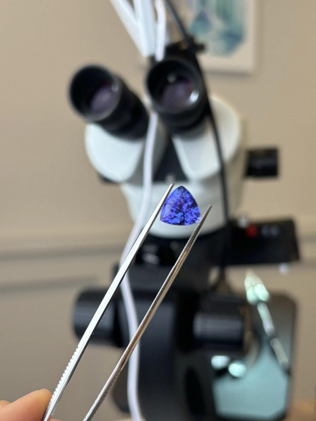 Natural Purplish Blue Trillion Cut Loose 4.55CT Tanzanite en venta 1