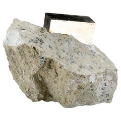 Pyrite on Basalt from Navajun, Spain (6.5 Lbs)