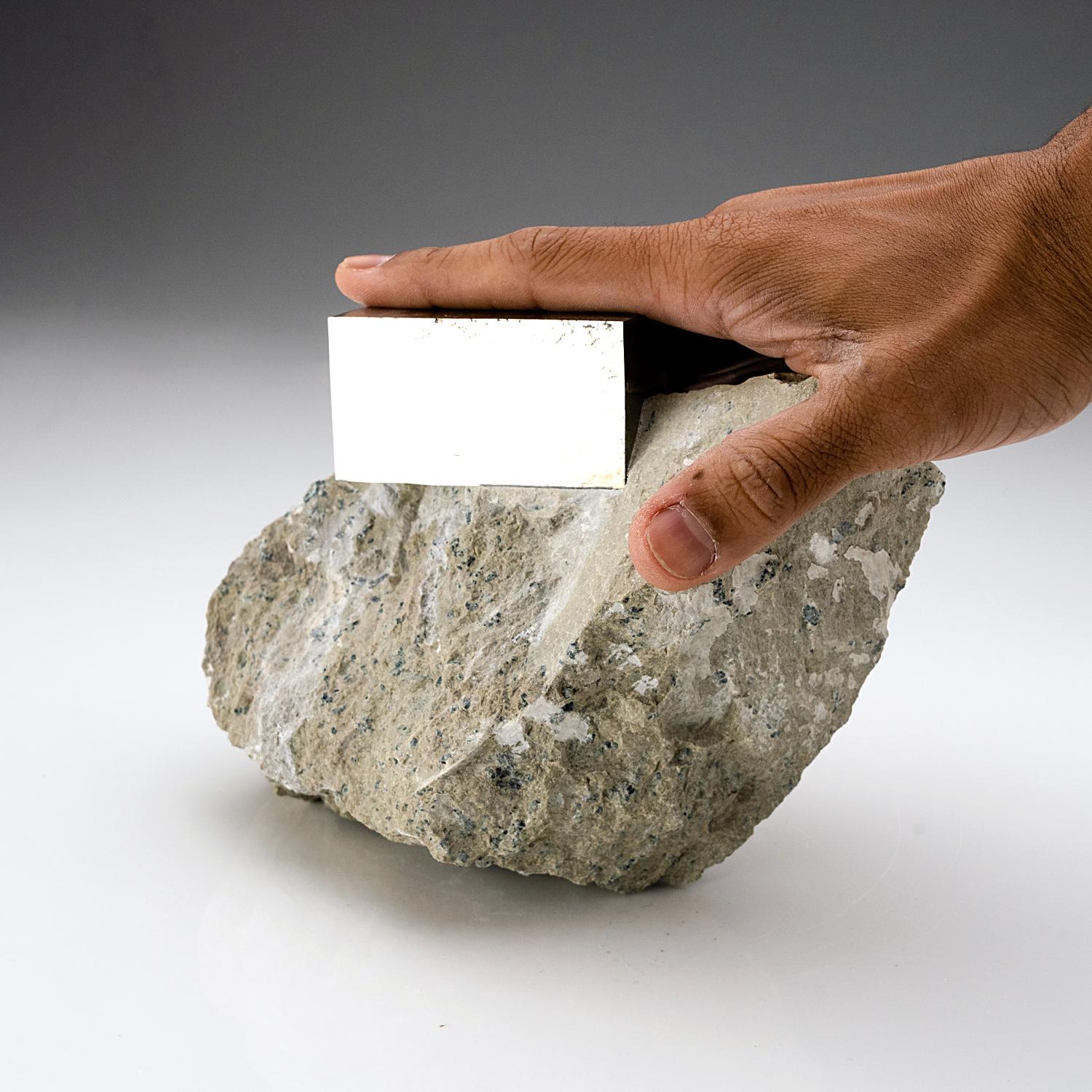 Pyrit auf Basalt aus Navajun, Spanien (6,5 lbs) (Spanisch) im Angebot