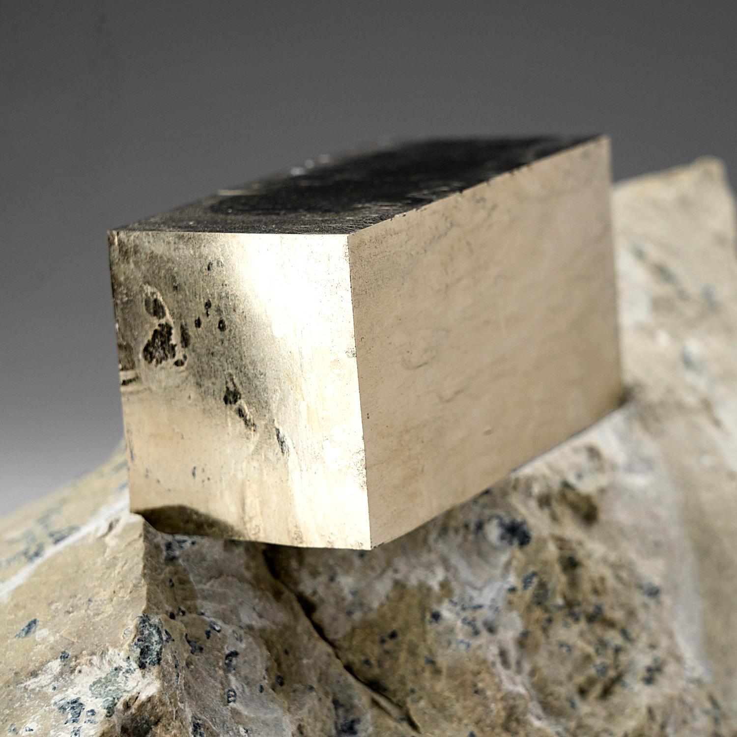 Pyrit auf Basalt aus Navajun, Spanien (6,5 lbs) (21. Jahrhundert und zeitgenössisch) im Angebot