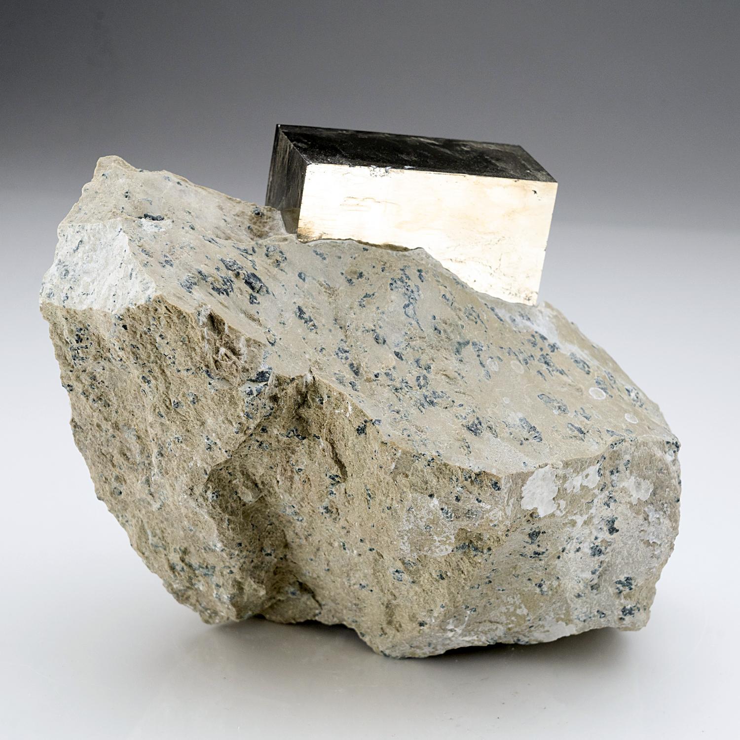 Pyrit auf Basalt aus Navajun, Spanien (6,5 lbs) im Angebot 1