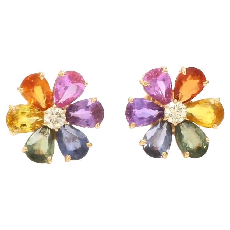 Natural rainbow sapphire earrings in 14k gold