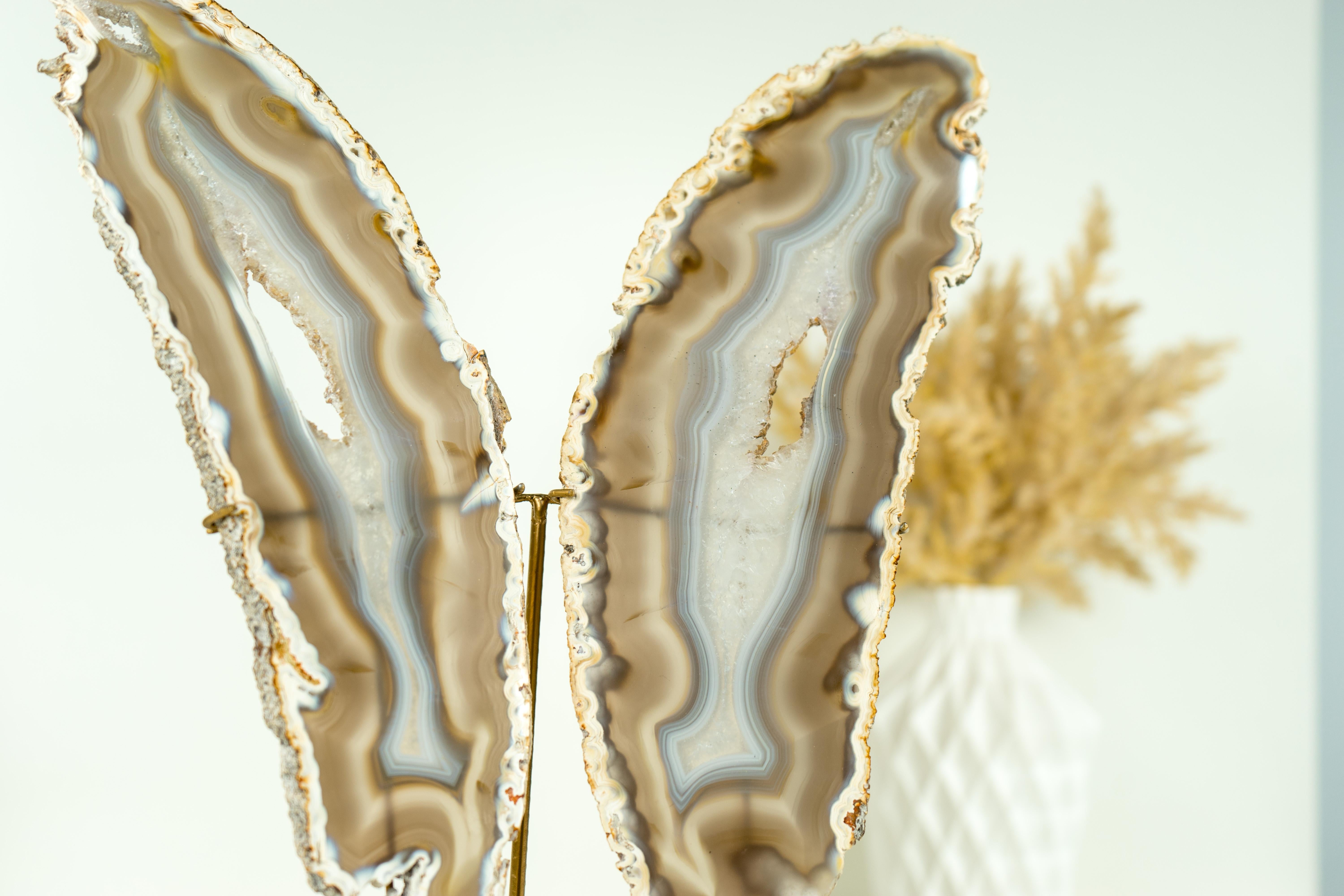 This stunning Agate Butterfly Wing displays beautiful natural patterns created by delicate agate lines, which naturally mix with crystal quartz. It also showcases a rare iridescent effect, most pronounced when lit from behind. The agate is