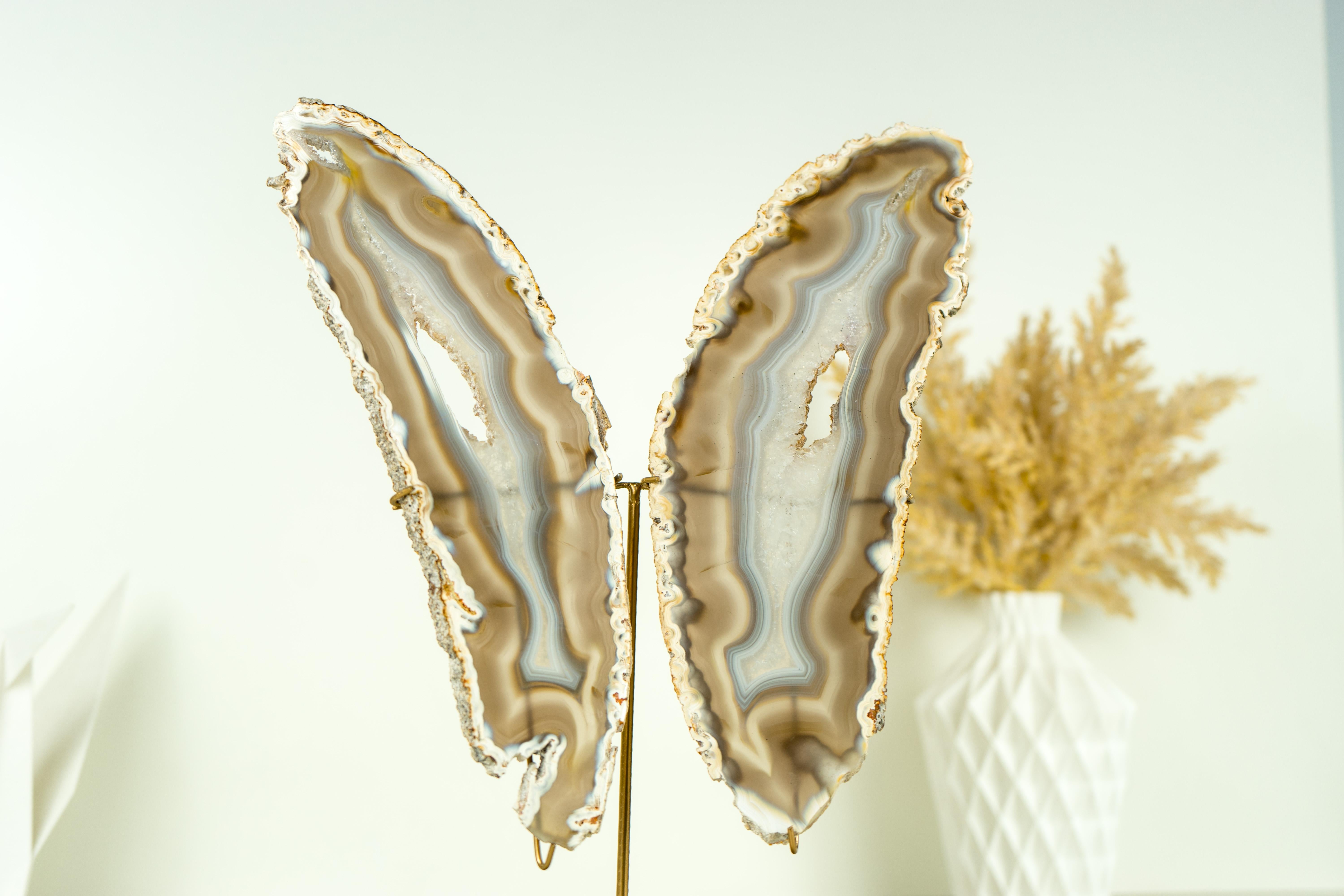 Brazilian Natural Rare Iridescent Agate Butterfly, Handmade Crystal Accent Decor For Sale