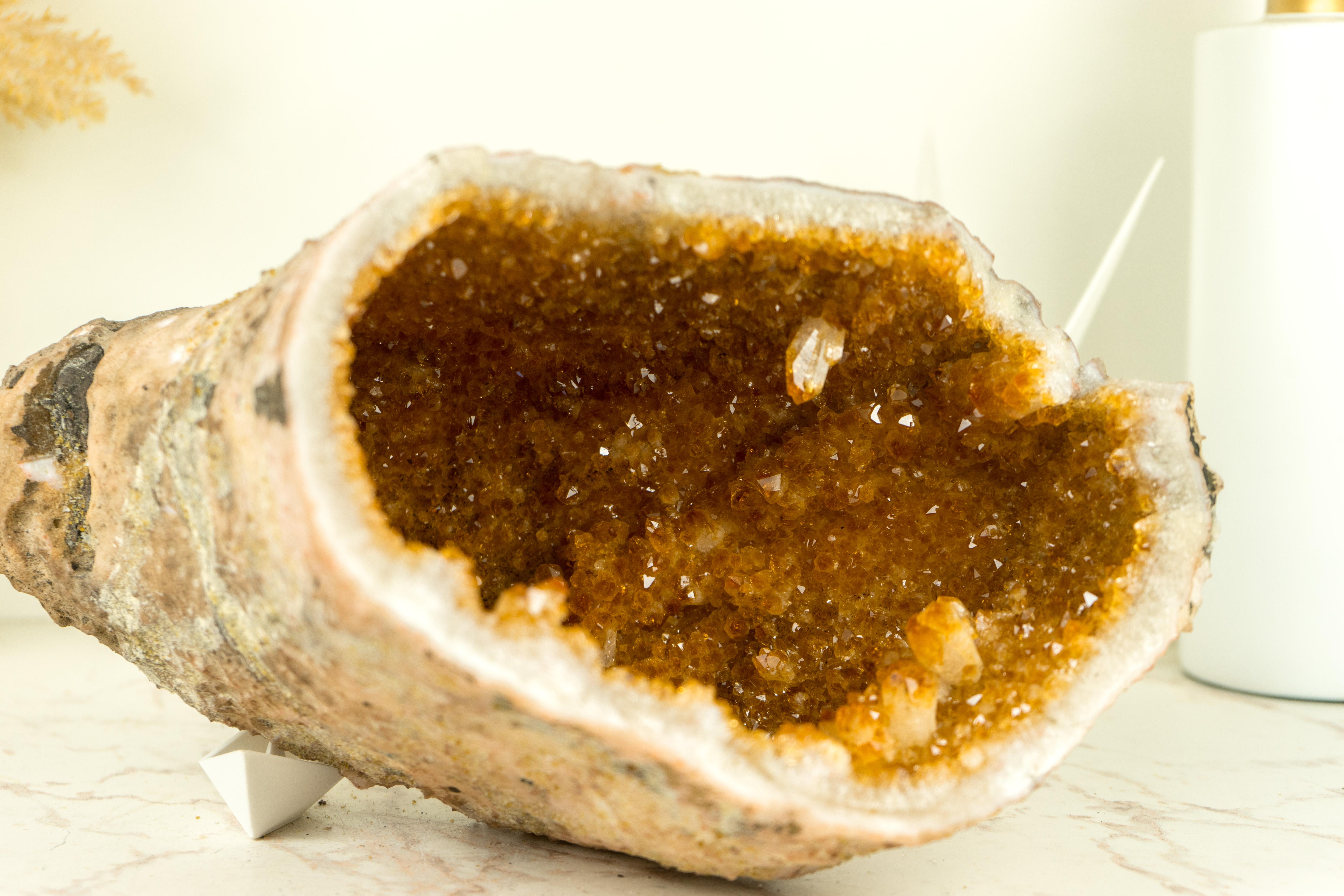 With its golden orange color tone and natural, beautiful cave-like shape, this Citrine Geode is a fabulous specimen that showcases rare characteristics. It is undoubtedly a stunning Citrine that will serve as a remarkable accent piece, seamlessly