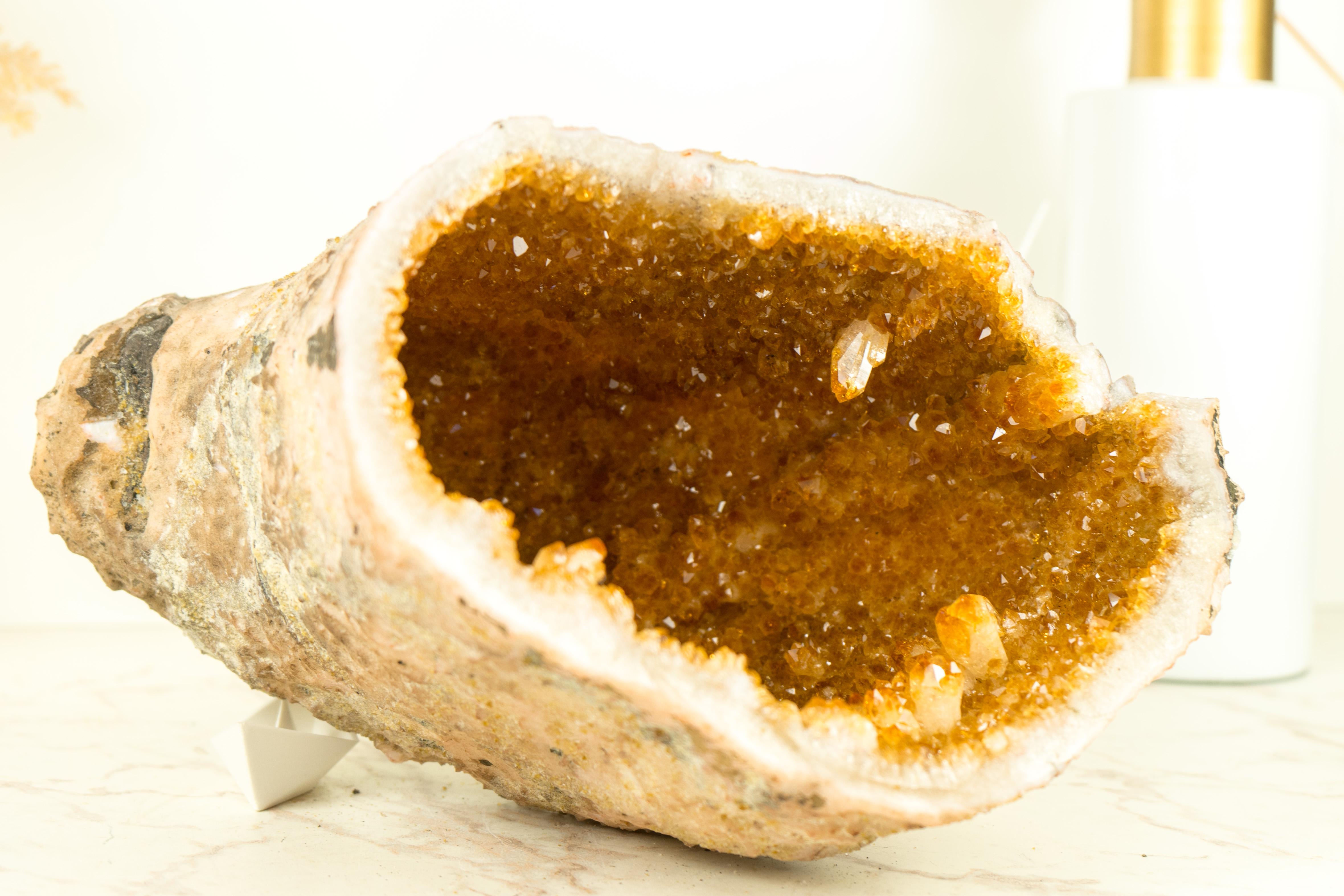 Natural Raw Citrine Geode Cave with Deep Orange Citrine Druzy In New Condition For Sale In Ametista Do Sul, BR