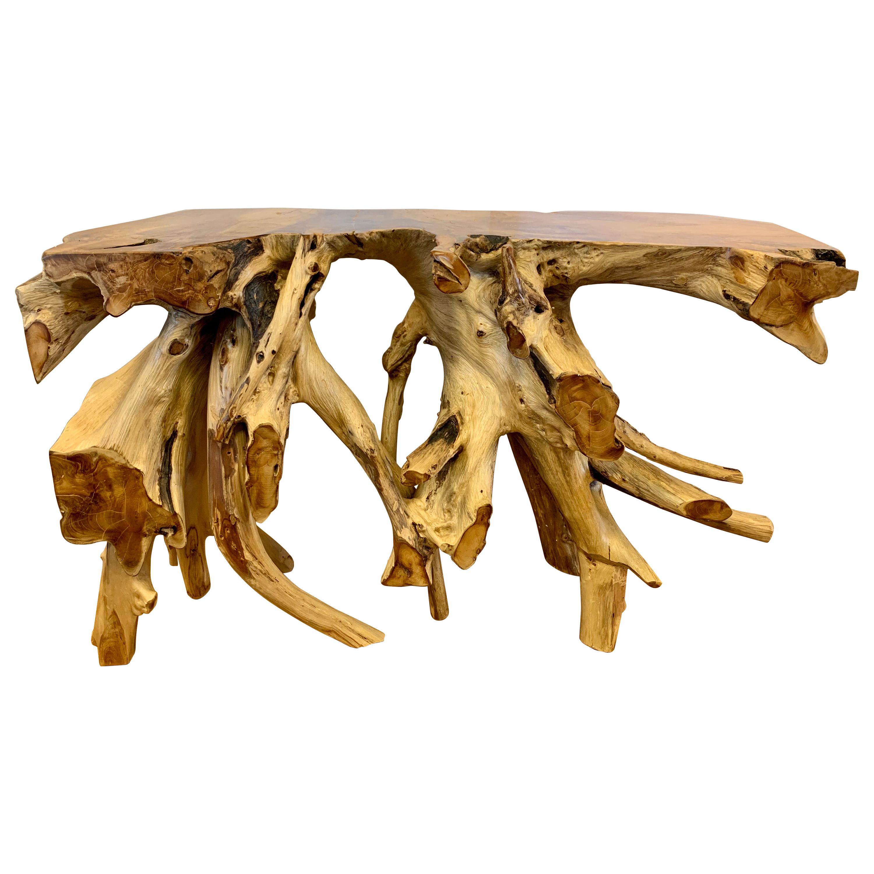 Natural Raw Teak Hardwood Organic Root Console Table One of a Kind