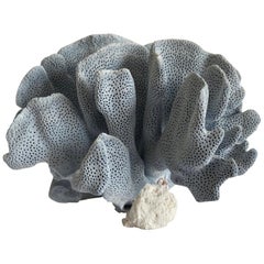 Natural Real Blue Coral Natural Real Blue Coral