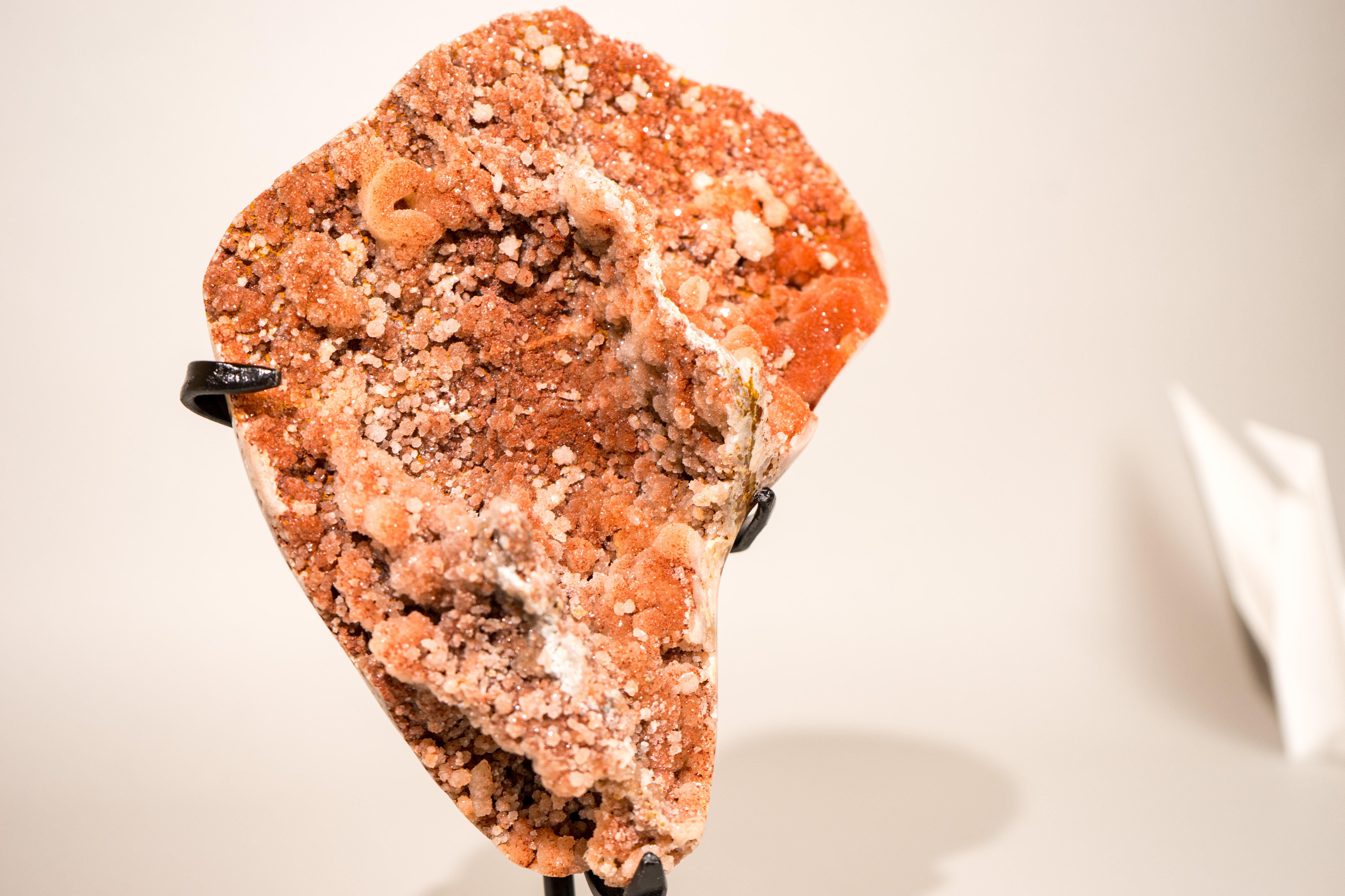 Cluster di ametista rossa naturale con druzy galattico scintillante su supporto in vendita 9