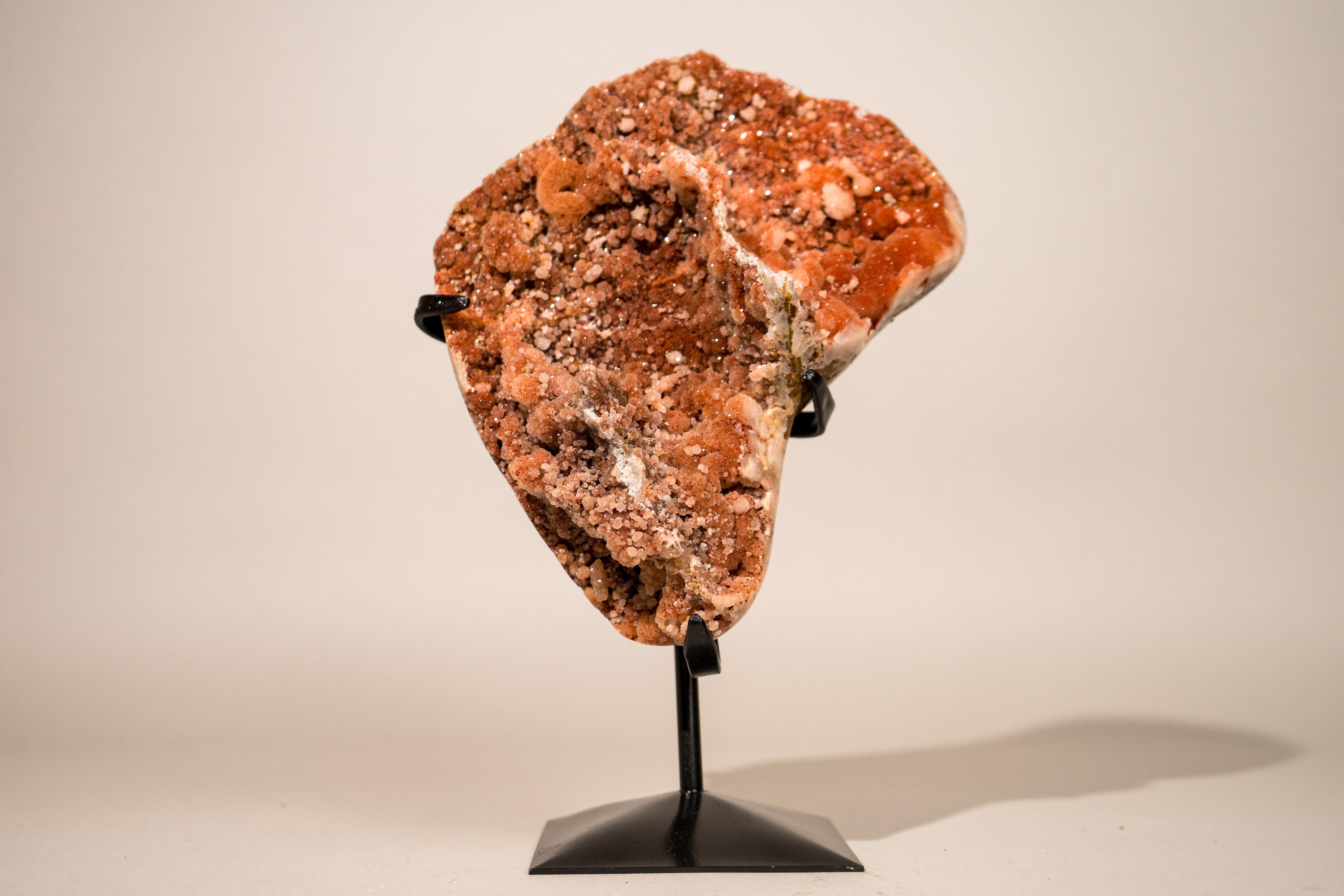 Cluster di ametista rossa naturale con druzy galattico scintillante su supporto in vendita 10
