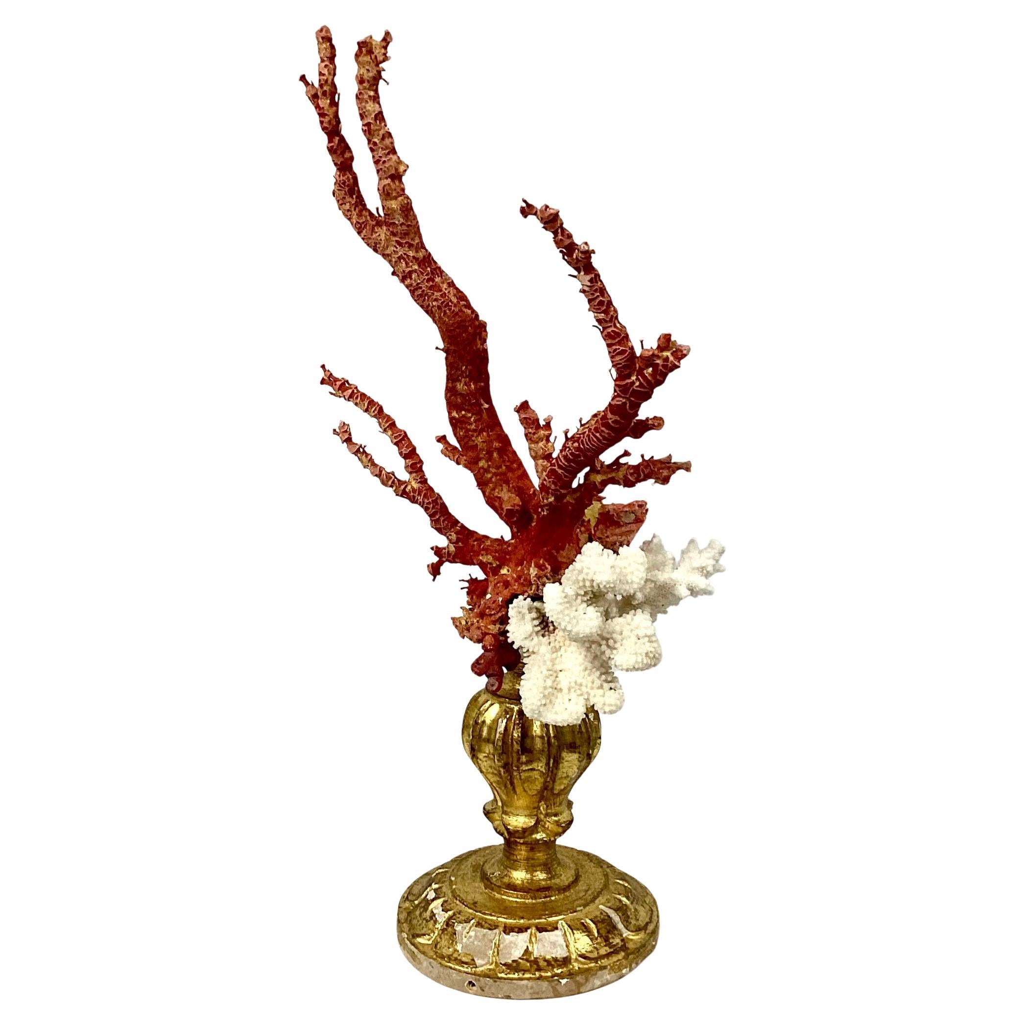 A rather large hand-crafted sculpture specimen of natural red coral branches mounted on a 18th century giltwood urn fragment base.